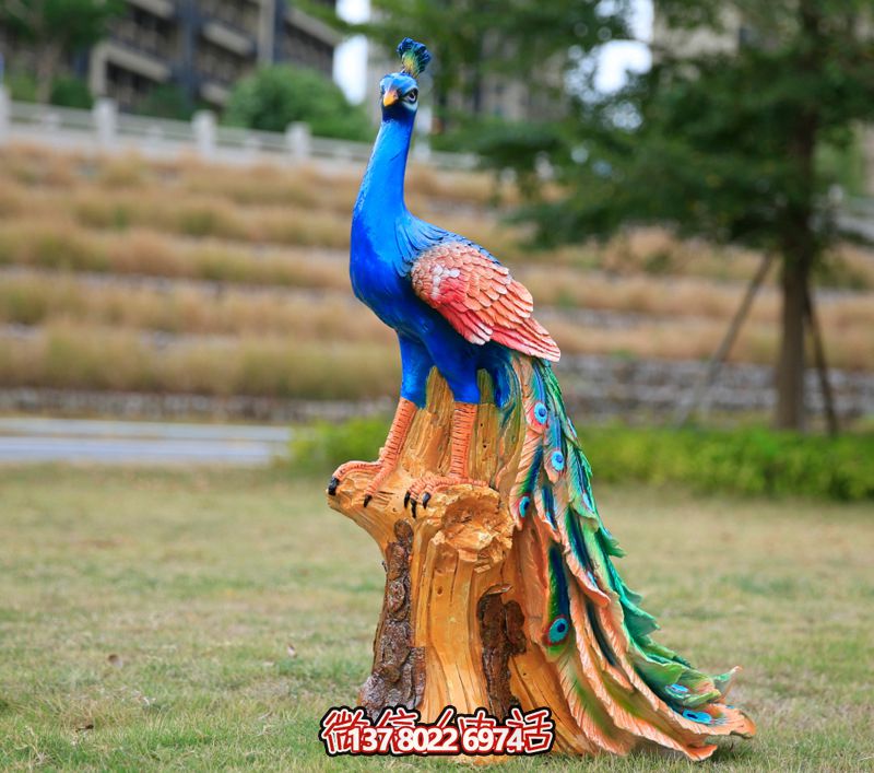 彩繪孔雀玻璃鋼雕塑，為公園街道擺放添彩